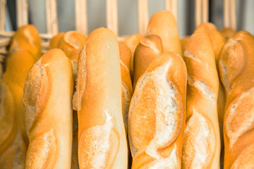 Crunchy french breads arranged on a shelf in a bakery
