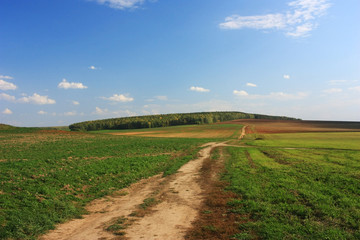 Fototapeta na wymiar Empty road in the field
