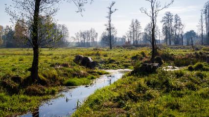 Słoneczny dzień w Dolinie Górnej Narwi, Podlasie, Polska © podlaski49