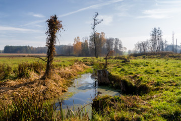 Słoneczny dzień w Dolinie Górnej Narwi, Podlasie, Polska © podlaski49