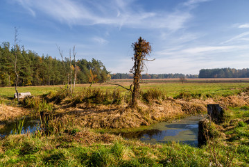 Słoneczny dzień w Dolinie Górnej Narwi, Podlasie, Polska © podlaski49