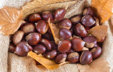 Top view of Chestnuts in the jute Hessian Sack Bag.