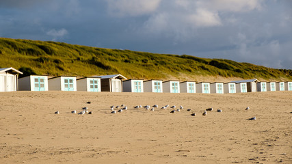 Fototapeta na wymiar Beach bathhouses with gulls and sand dunes on Texel, Netherlands.