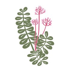 Vector icon of tropical plant. Flat green leaves and pink blooming buds. Natural green tropical illustration isolated on white background