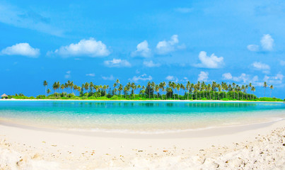  tropical beach in Maldives with few palm trees and blue lagoon