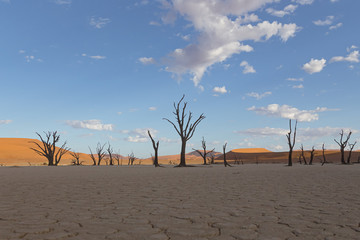 Deadvlei in Namibia at sunset