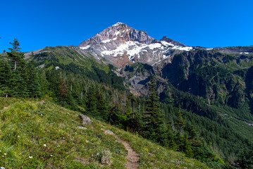 Fototapeta na wymiar A summer time view of Mt. Hood and the Sandy glacier from the Timberline Trail. A beautiful sunny day to be out on the trail in the wilderness.