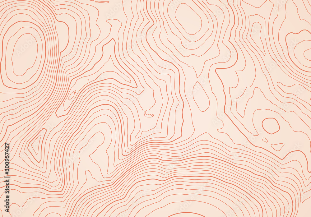 Poster Abstract topographic map background with height lines