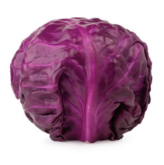 Fototapeta premium Red cabbage isolated on a white background