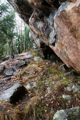 grey giant stones in the forest