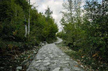 stone footpath with green trees in Georgia