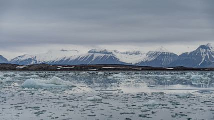 Ice blocks floating in an arctic fjord with mountains in the background in Svalbard