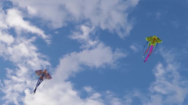 A kite soars in the air against a white cloud and blue sky.