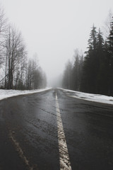 Fototapeta na wymiar misty road in winter forest
