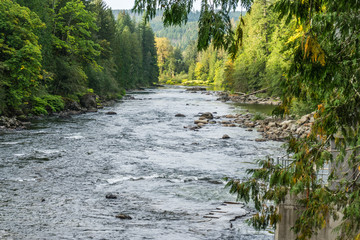 Rive In Snoqualmie
