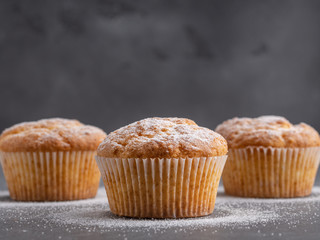 Tasty breakfast lemon and vanilla muffins on gray background, minimalism