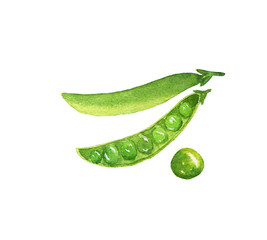 Watercolor illustration of a pea, in a pod, open and one pea separately, hand-drawn on a white background, isolated. Vegeterian and vegan food illustration