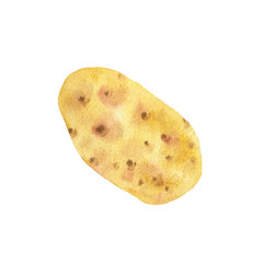 Hand-drawn watercolor illustration of fresh potato on a white background, isolated. Vegeterian and vegan food illustration