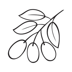 Black and white vector illustration of a branch of olive