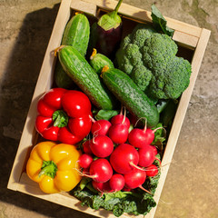 Fresh Vegetables in sun lights in eco wooden box