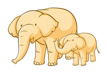 Yellow elephants on white background