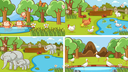 Background scenes of animals in the wild