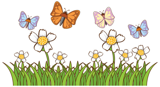 Isolated picture of many butterflies in garden