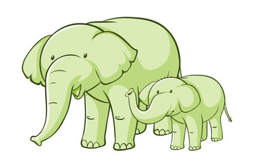 Green elephants on white background