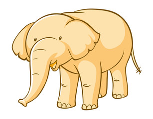 Yellow elephant on white background