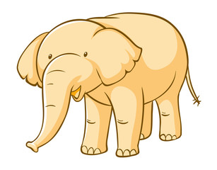 Fototapeta premium Yellow elephant on white background