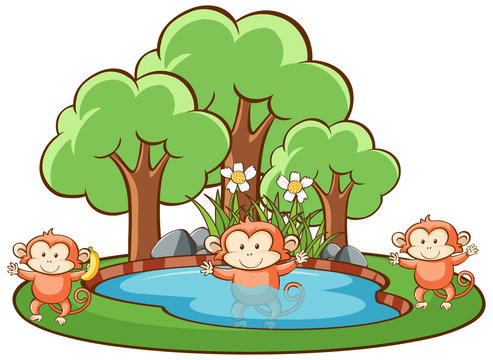 Scene with monkeys in park