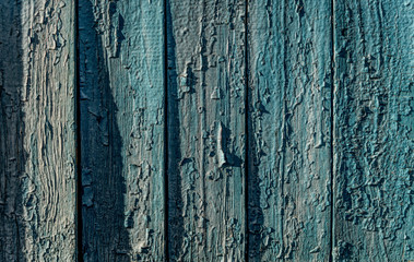 Cracked blue old paint. Old wooden background