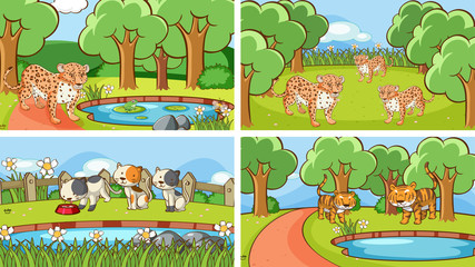 Background scenes of animals in the wild