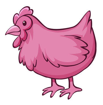 Pink chicken on white background