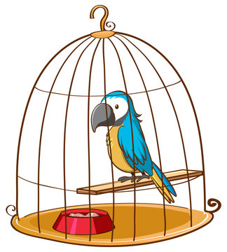 Cute parrot in cage on white background