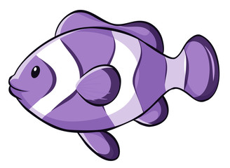 Purple clownfish on white background