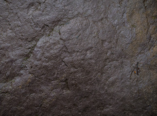 Texture of wet stone covered with moss. Background image of macro photography texture stone