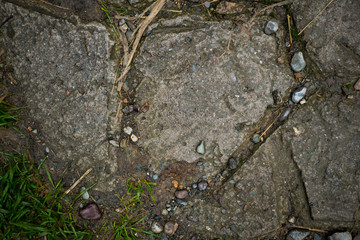 Texture of paving slabs overgrown with grass. Background image of a stratum stone