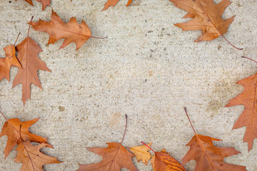 Natural leaf backdrop on cement, texture for Fall/Autumn seasonal, presentation, signage, Autumn advertisement