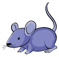 Purple mouse on white background