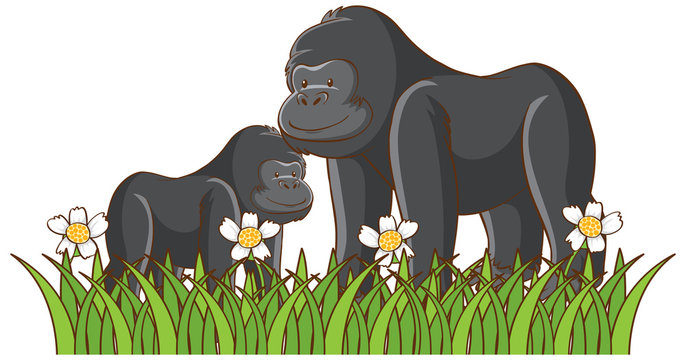 Isolated picture of gorillas in the park