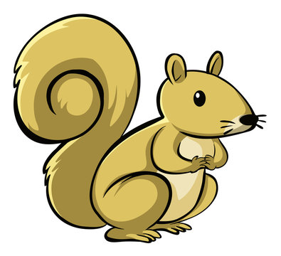 Yellow squirrel on white background