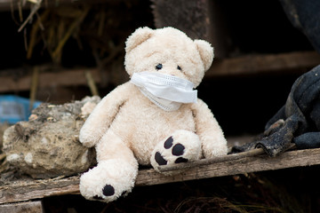 a teddy bear with a medical bandage on his face sitting in a dump