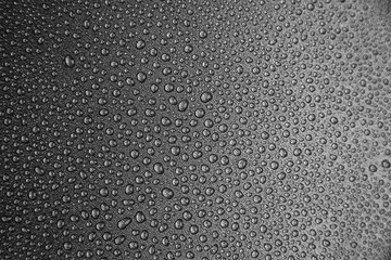 abstract background: a lot of drops on a dark surface. Center in sharpness, blurred edges. Black and white photo