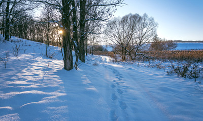 Winter landscape and nature