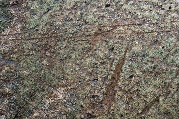 The texture of the stone overgrown with moss. Background image of a boulder