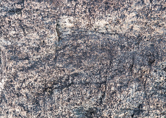 The texture of the stone overgrown with moss. Background image of a boulder