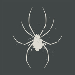 art spider illustration