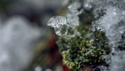 Winter landscape and nature