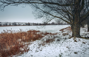 Winter landscape and nature